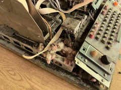 IMG_1487.JPG (3231948 bytes)