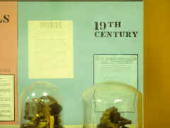 5087.jpg (3159145 bytes)